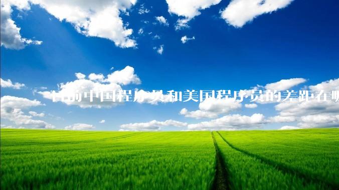 目前中国程序员和美国程序员的差距在哪里？