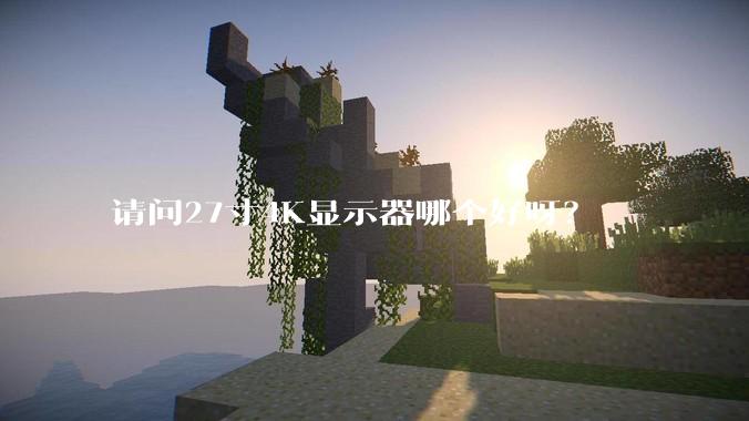 请问27寸4K显示器哪个好呀？