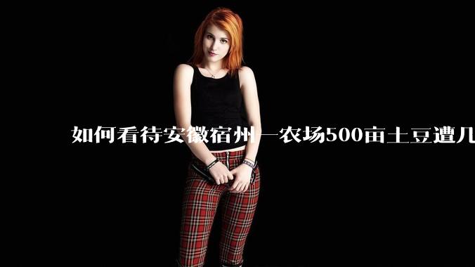 如何看待安徽宿州一农场500亩土豆遭几百名村民哄抢，曝光后民警要求种植户删帖？法不责众？如何有效维权？