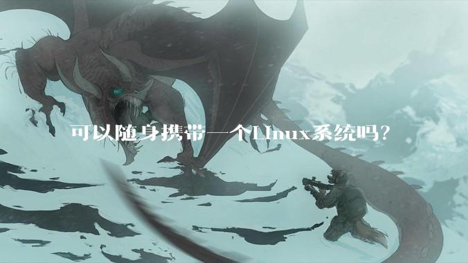 可以随身携带一个Linux系统吗？