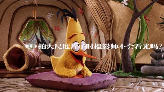***拍大尺度片子时摄影师不会看光吗？