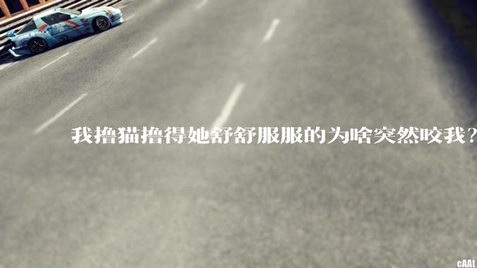 我撸猫撸得她舒舒服服的为啥突然咬我？